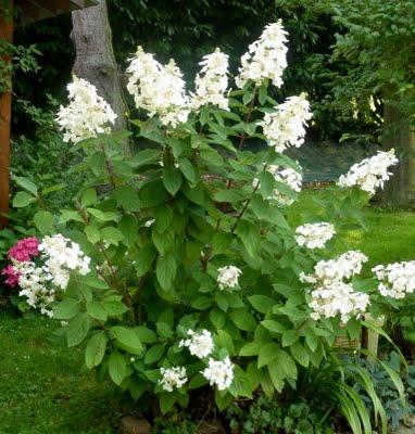 J'ai trouvé l' étépendant mes vacances...Soleil, Grande b... J'ai trouvé l' étépendant mes vacances...Soleil, Grande b...