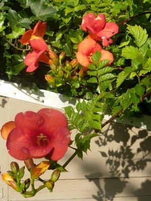 J'ai trouvé l' étépendant mes vacances...Soleil, Grande b... J'ai trouvé l' étépendant mes vacances...Soleil, Grande b...