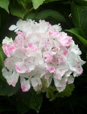 J'ai trouvé l' étépendant mes vacances...Soleil, Grande b... J'ai trouvé l' étépendant mes vacances...Soleil, Grande b...