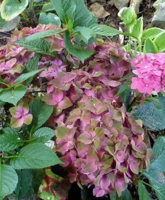 J'ai trouvé l' étépendant mes vacances...Soleil, Grande b... J'ai trouvé l' étépendant mes vacances...Soleil, Grande b...