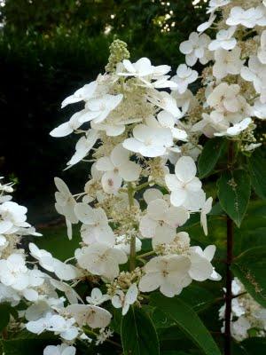 J'ai trouvé l' étépendant mes vacances...Soleil, Grande b... J'ai trouvé l' étépendant mes vacances...Soleil, Grande b...