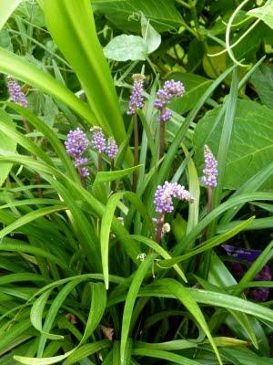 J'ai trouvé l' étépendant mes vacances...Soleil, Grande b... J'ai trouvé l' étépendant mes vacances...Soleil, Grande b...