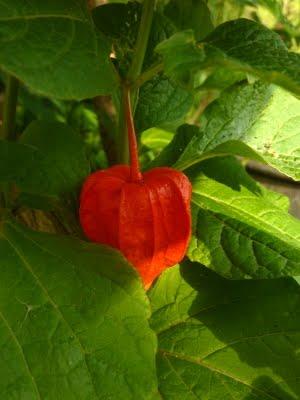 J'ai trouvé l' étépendant mes vacances...Soleil, Grande b... J'ai trouvé l' étépendant mes vacances...Soleil, Grande b...