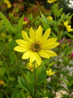 J'ai trouvé l' étépendant mes vacances...Soleil, Grande b... J'ai trouvé l' étépendant mes vacances...Soleil, Grande b...