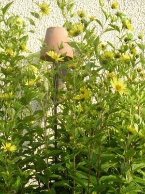 J'ai trouvé l' étépendant mes vacances...Soleil, Grande b... J'ai trouvé l' étépendant mes vacances...Soleil, Grande b...