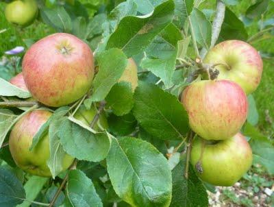 J'ai trouvé l' étépendant mes vacances...Soleil, Grande b... J'ai trouvé l' étépendant mes vacances...Soleil, Grande b...