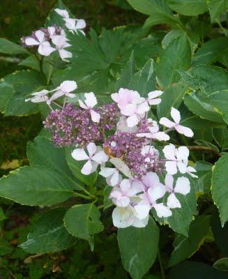 J'ai trouvé l' étépendant mes vacances...Soleil, Grande b... J'ai trouvé l' étépendant mes vacances...Soleil, Grande b...