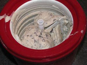 Glace à la noix de coco et éclats de chocolat IMG_2580