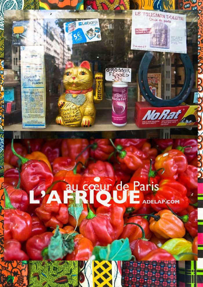 Voyage :: L'Afrique au cœur de Paris