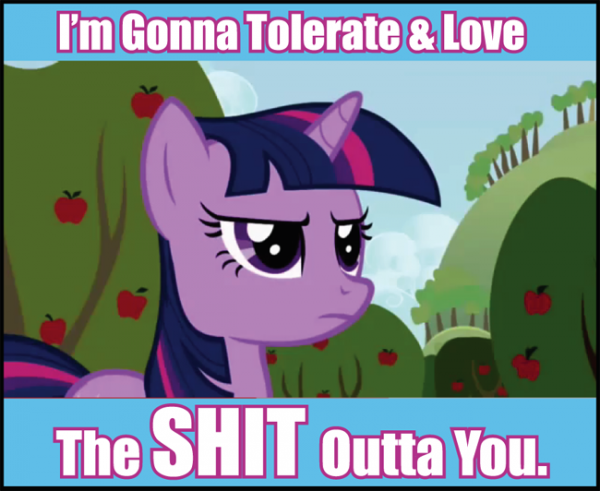 JdG_MLP_ShitOuttaYou JdG MLP ShitOuttaYou 600x491 Chronique Culture G(eek) : Mon Petit Poney, le mème ultime ?