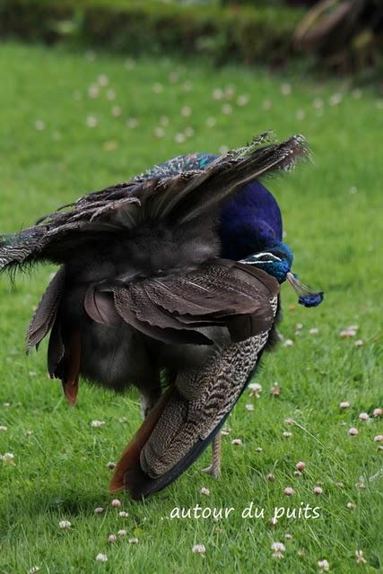 SEMAINE PARISIENNE SEMAINE PARISIENNE