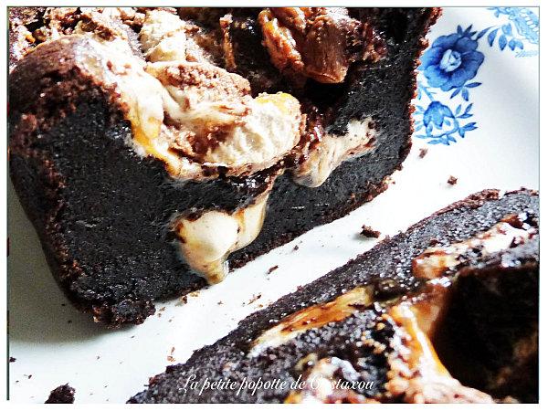 MOELLEUX AU CHOCOLAT DE LA PLANETE