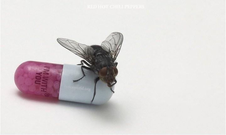im-with-you-red-hot-chili-peppers LES RED HOT CHILI PEPPERS SONT MORTS