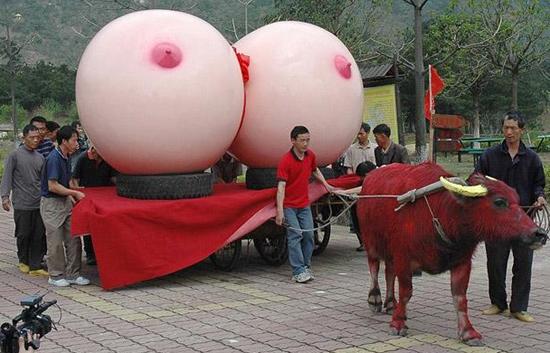 Offrez-vous enfin la poitrine de vos rêves Offrez-vous enfin la poitrine de vos rêves