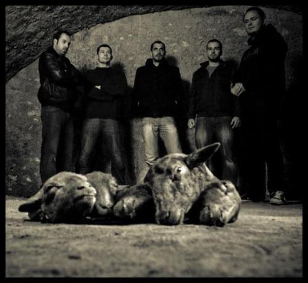 nesseria REVIEW : Clinging To The Trees Of A Forest Fire/Nesseria, Split