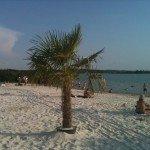 Carte postale de la plage du lac de Madine Plage de Madine