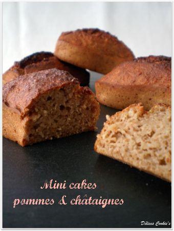 Mini cakes pommes & châtaignes cakes pommes chataignes 1