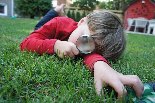 Projet 52 - Semaine 34 DSC07469