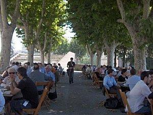 Petit déjeuner sous les platanes