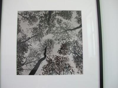 Holger TRüTZSCH Pour une République des rêves