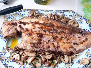 Sole aux cèpes sole 002