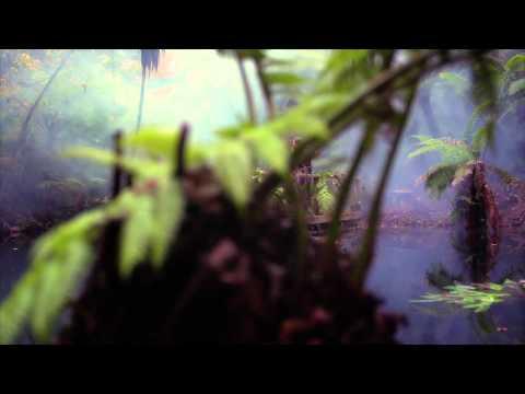 Owl Eyes – Raiders Image de prévisualisation YouTube