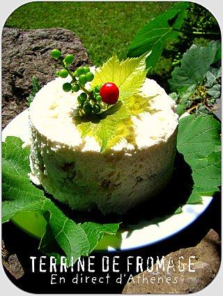 BUFFET : Terrine au fromage TERRINE-FROMAGE-.jpg