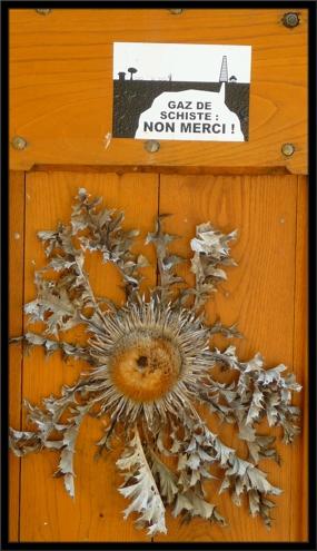 couvertoirade cardabelle Terre de contestation