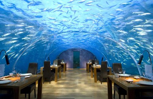 hotel-conrad-maldives-under-water-restaurant-hoosta-magazine-paris-blog