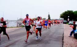 QUE FERA LA FUTURE EQUIPE MUNICIPALE QUE FERA LA FUTURE EQUIPE MUNICIPALE