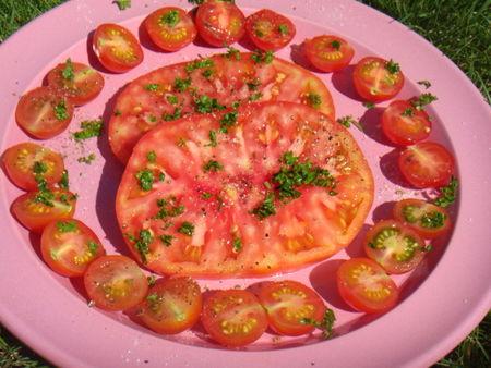 TOMATES DU JARDIN ET MAYO MAISON DSC09293