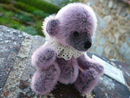 Une oursonne pas comme les autres ours Joelle Segonnes (2)