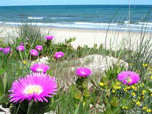Location Costa Blanca Louez votre villa de vacances sur la Costa Blanca