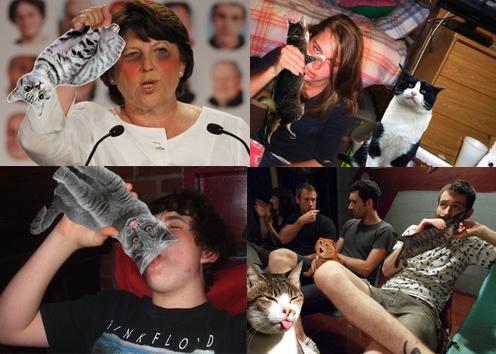 Boozecats Boozecats