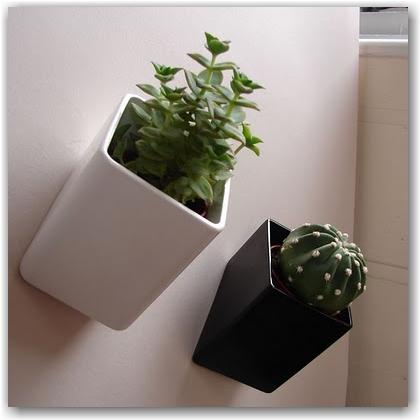 Pots de fleurs en tout genre Hebergeur d'image