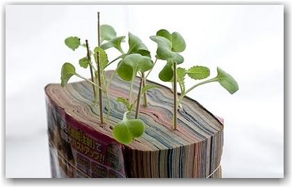 Pots de fleurs en tout genre Hebergeur d'image