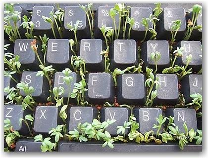 Pots de fleurs en tout genre Hebergeur d'image