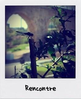 Rencontre et promenade