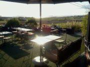 Rosé & Barbecue.... Rosé & Barbecue....