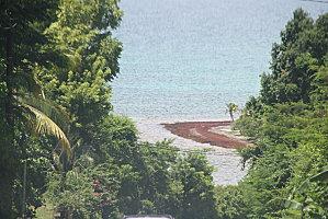 plage de grande Anses Déshaies aout-gwada 007