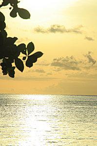 plage de grande Anses Déshaies aout-gwada 136