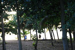 plage de grande Anses Déshaies aout-gwada 155