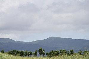 plage de grande Anses Déshaies aout-gwada 008
