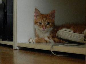 RESULTATS DU CONCOURS ET QUELQUES NOUVELLES DSCN0252.JPG