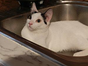 RESULTATS DU CONCOURS ET QUELQUES NOUVELLES DSCN0275.JPG