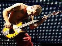 Red Hot Chili Peppers... I'm With You !!!