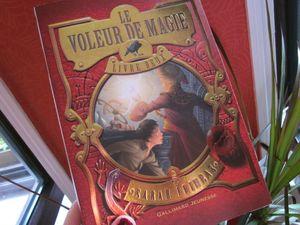 Le Voleur de Magie (tome 2) IMG_5217