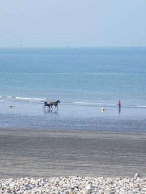 FUN ...
Tôt le matin ou Tard le soirLes grandes ma... DSCF7032