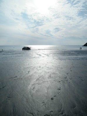 FUN ...
Tôt le matin ou Tard le soirLes grandes ma... DSCF7020