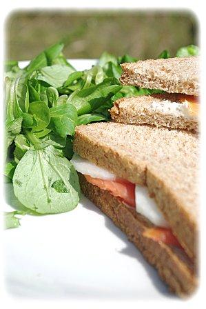 Sandwich au saumon IV